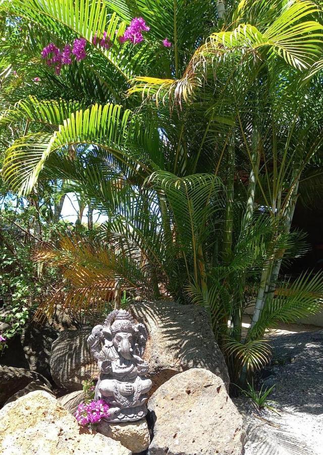 Bain Boeuf Brahmanhut - Eco Hut Experience In Harmony With Nature, Wellbeing And Spirit מראה חיצוני תמונה