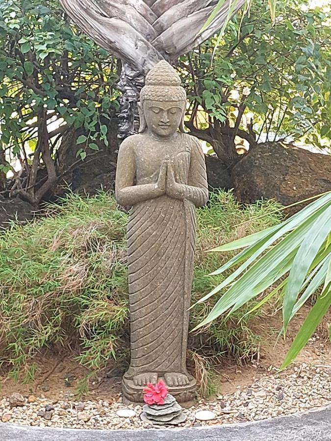 Bain Boeuf Brahmanhut - Eco Hut Experience In Harmony With Nature, Wellbeing And Spirit מראה חיצוני תמונה